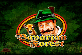 CTInteractive | Bavarian Forest