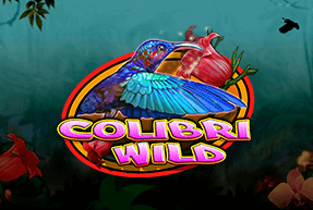 CTInteractive | Colibri Wild