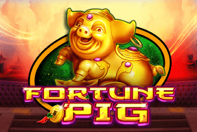CTInteractive | Fortune Pig