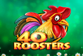 CTInteractive | 40 Roosters