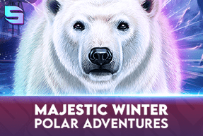 Spinomenal2 | Majestic Winter - Polar Adventures